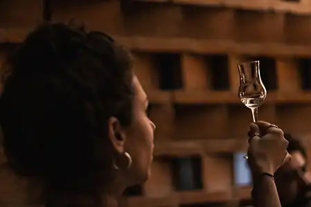 Mezcal Tasting Oaxaca. Rosita de Borracho.