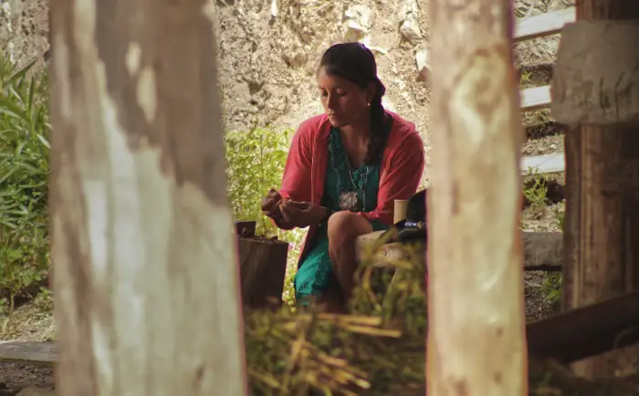 Mujer mezcalera. Rosita de Borracho