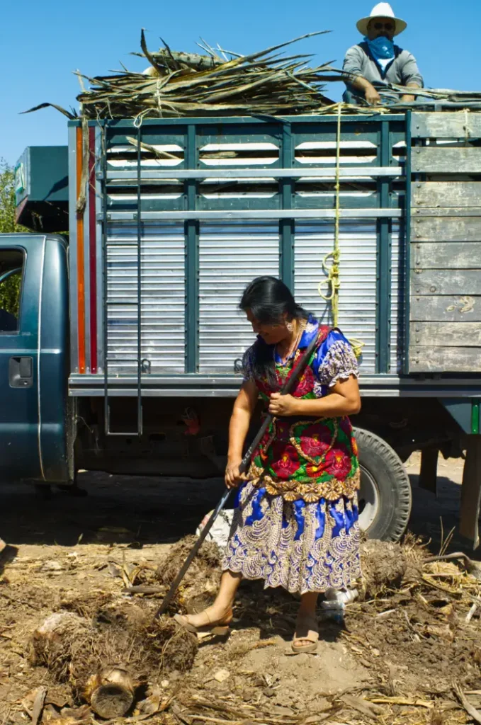 Mujeres en el Mezcal. Rosita de Borracho