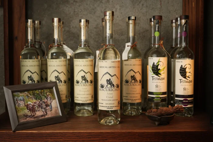 Mezcal Macurichos. Cireal. Gonzalo Martínez Sernas